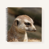 Meerkat 048 notizblock (Vorderseite)