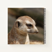 Meerkat 048 notizblock (Rückseite)