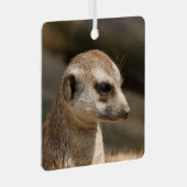 Meerkat 048 ornament aus metall (Vorderseite Rechts)
