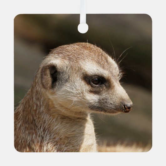 Meerkat 048 ornament aus metall (Vorderseite)