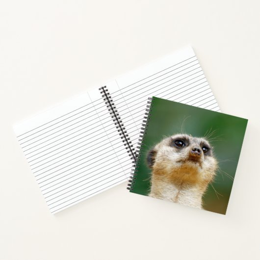 Meerkat 051 notizblock (Innenseite)