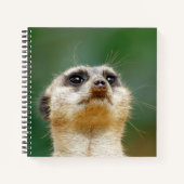 Meerkat 051 notizblock (Vorderseite)