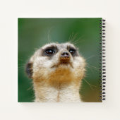 Meerkat 051 notizblock (Rückseite)