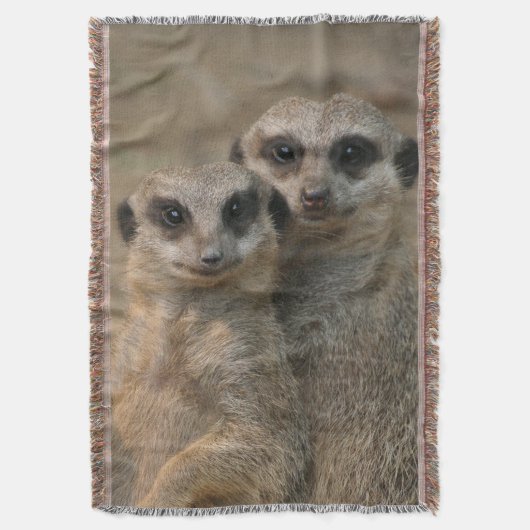 Meerkat 067 decke (Vorderseite Vertikal)