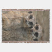 Meerkat 067 decke (Vorderseite)