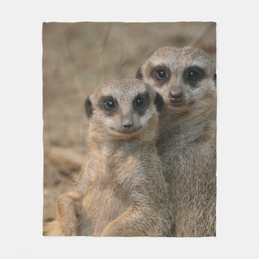 Meerkat 067 fleecedecke (Vorderseite)