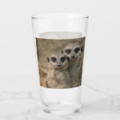Meerkat 067 glas (Rückseite)