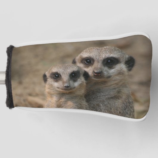 Meerkat 067 golf headcover (Vorderseite)