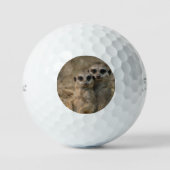Meerkat 067 golfball (Vorderseite)