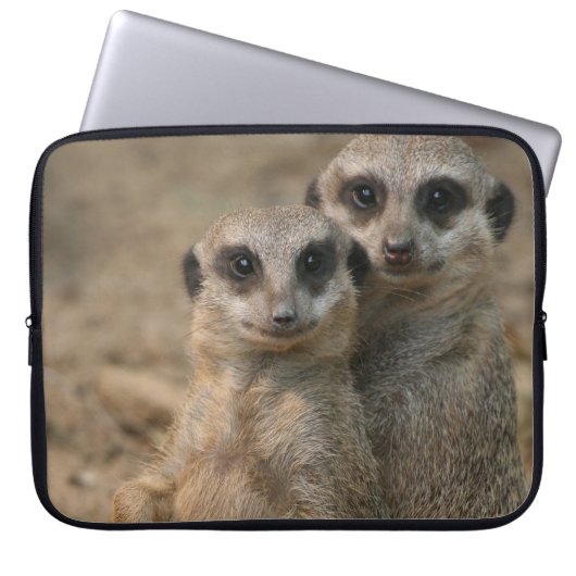 Meerkat 067 laptopschutzhülle (Vorderseite)