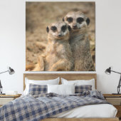 Meerkat 067 leinwanddruck (Insitu (Schlafzimmer))