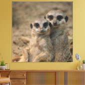 Meerkat 067 leinwanddruck (Insitu (Wohnzimmer))