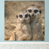 Meerkat 067 leinwanddruck (Insitu (Holzboden))