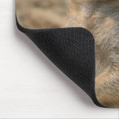 Meerkat 067 mousepad (Ecke)