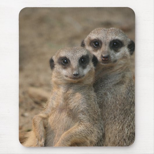 Meerkat 067 mousepad (Vorne)