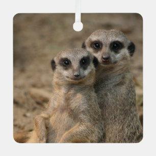 Meerkat 067 ornament aus metall