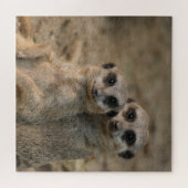Meerkat 067 puzzle (Horizontal)