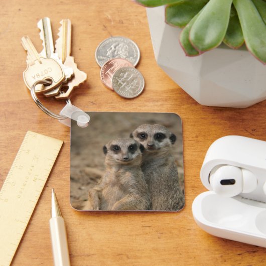 Meerkat 067 schlüsselanhänger (Schreibtisch)