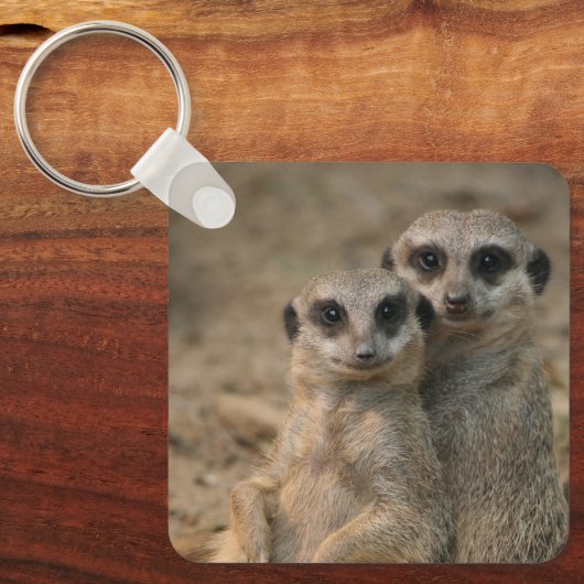Meerkat 067 schlüsselanhänger (Vorderseite)