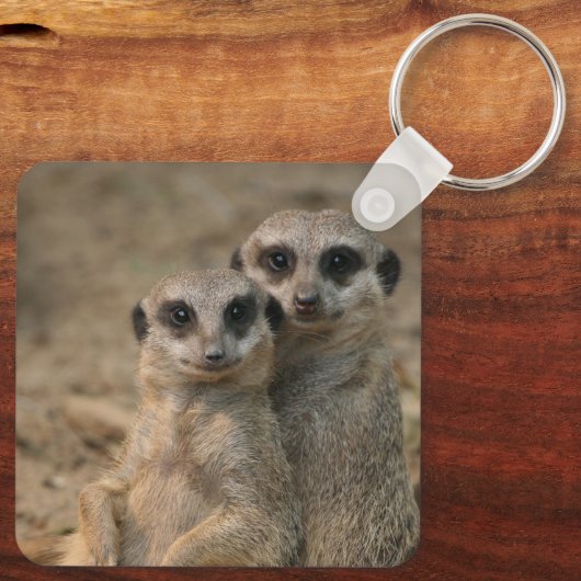 Meerkat 067 schlüsselanhänger (Rückseite)