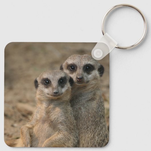 Meerkat 067 schlüsselanhänger (Rückseite)