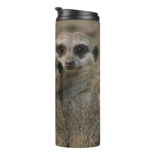 Meerkat 067 thermosbecher (Nach rechts gedreht)