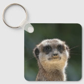 Meerkat 068 schlüsselanhänger (Vorderseite)