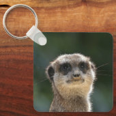 Meerkat 068 schlüsselanhänger (Vorderseite)