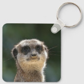 Meerkat 068 schlüsselanhänger (Rückseite)