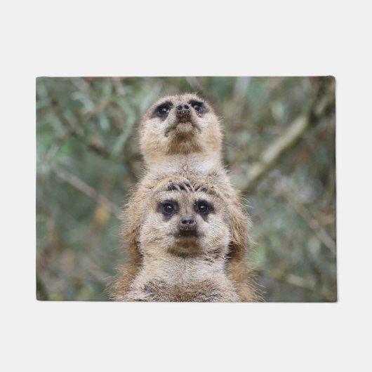 Meerkat 081 fußmatte (Vorderseite)