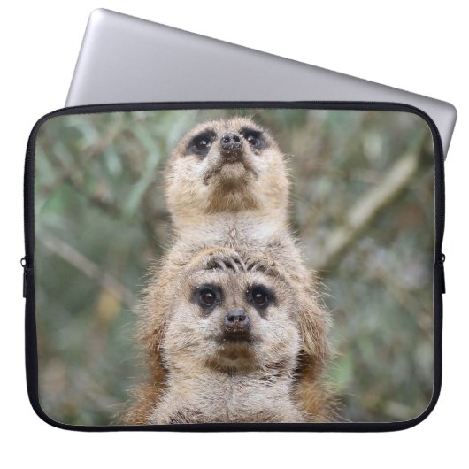 Meerkat 081 laptopschutzhülle (Vorderseite)
