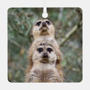Meerkat 081 ornament aus metall