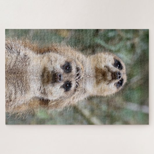 Meerkat 081 puzzle (Horizontal)