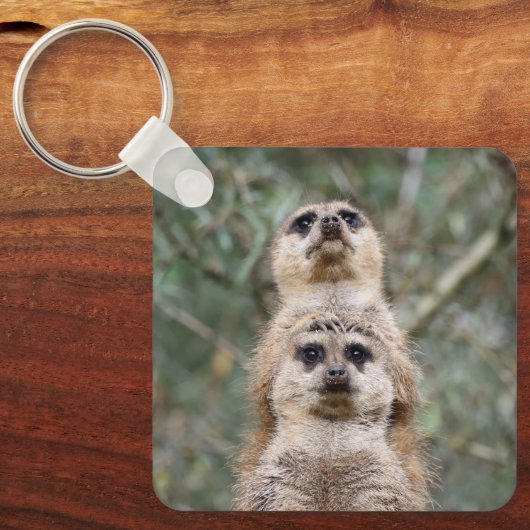 Meerkat 081 schlüsselanhänger (Vorderseite)