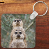 Meerkat 081 schlüsselanhänger (Rückseite)