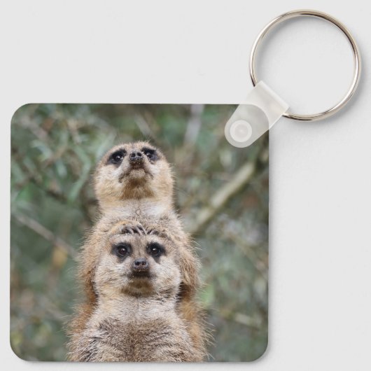 Meerkat 081 schlüsselanhänger (Rückseite)