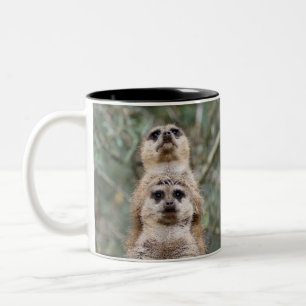 Meerkat 081 zweifarbige tasse