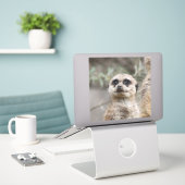 Meerkat 082 aufkleber (Laptop auf Schreibtisch)