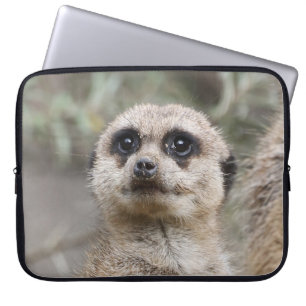 Meerkat 082 laptopschutzhülle