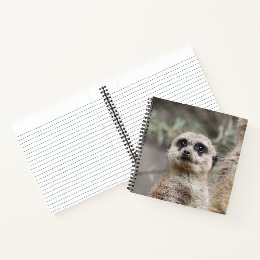 Meerkat 082 notizblock (Innenseite)