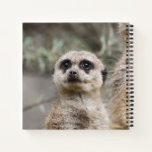 Meerkat 082 notizblock (Rückseite)
