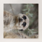 Meerkat 082 puzzle (Horizontal)