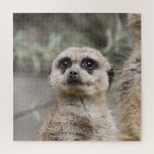 Meerkat 082 puzzle (Vertikal)