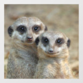 Meerkat 085 fensteraufkleber (Blatt)