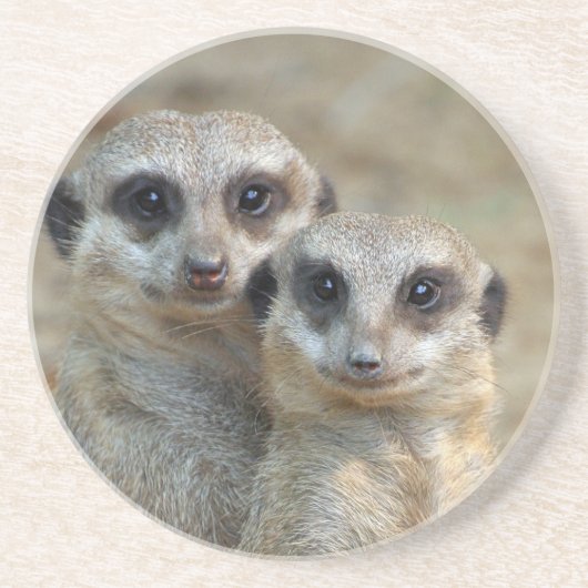 Meerkat 085 getränkeuntersetzer (Vorne)