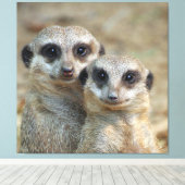 Meerkat 085 leinwanddruck (Insitu (Holzboden))