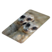 Meerkat 085 magnet (Linke Seite)