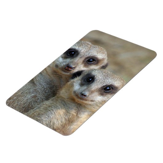 Meerkat 085 magnet (Linke Seite)