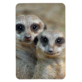 Meerkat 085 magnet (Vertikal)