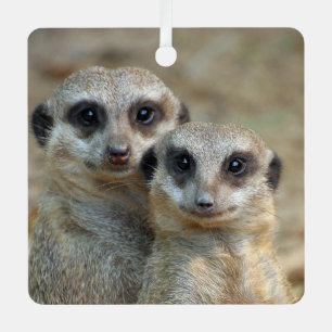 Meerkat 085 ornament aus metall
